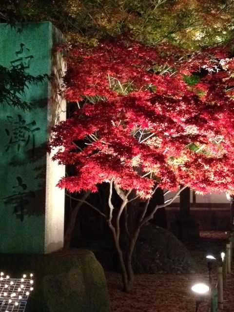 東漸寺のライトアップ