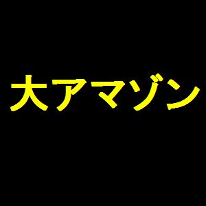 もし日本の小売店がアマゾンだけだったら。