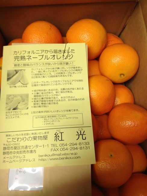 紅光のネーブルオレンジ うまい!
