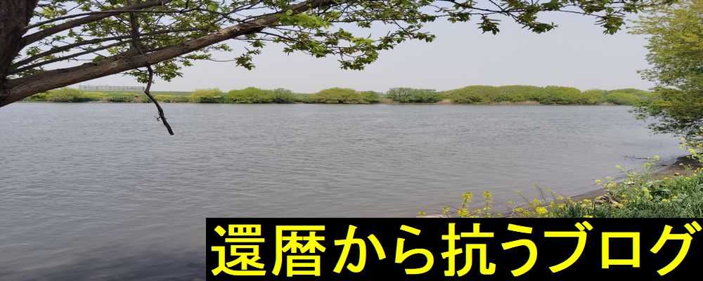 還暦から抗うブログ