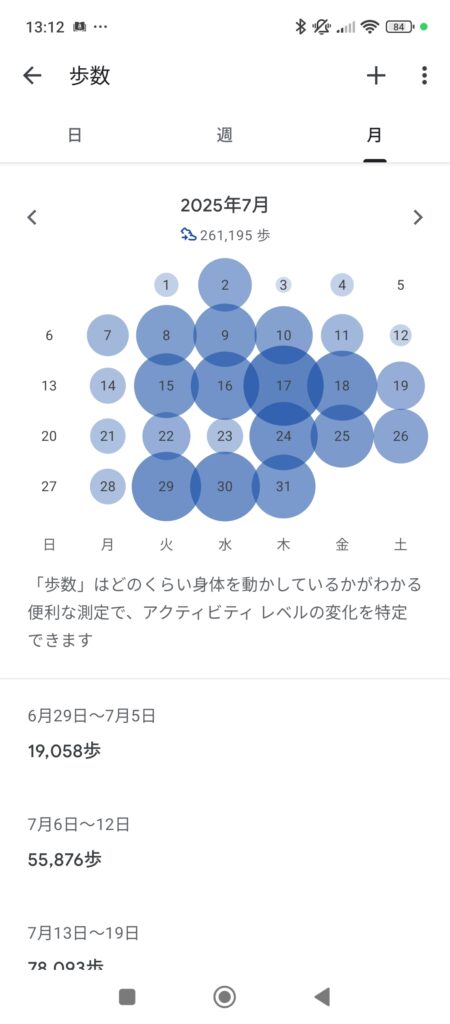 202507歩数
